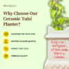 tulsi planter pot
